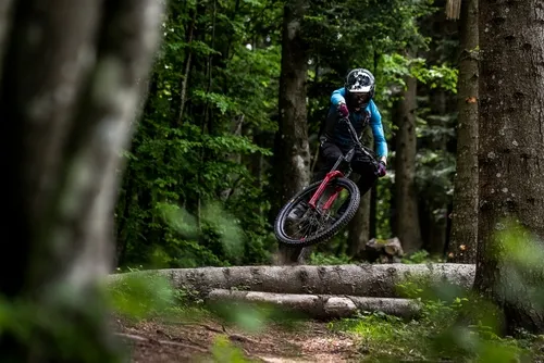 608197d3bc26a9289fcccf2c_Vendemmia_Ph_AlexLuise-p-500